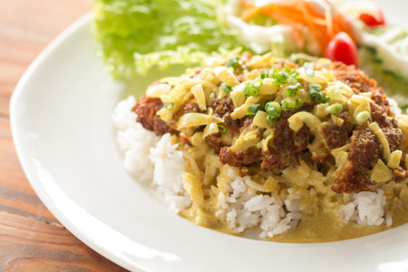 Deep fried breaded pork rice with salad, Tonkatsu.の写真素材
