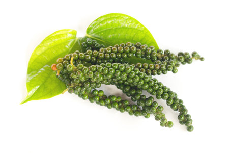 Fresh Green Peper on white background.の写真素材