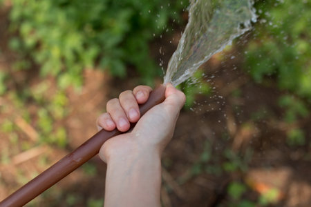Close up of  woman watering plant in her garden.の写真素材