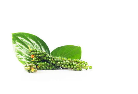 Fresh Green Peper on white background.