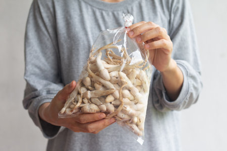 Coprinus comatus mushroom in plastic bag for sale.の写真素材