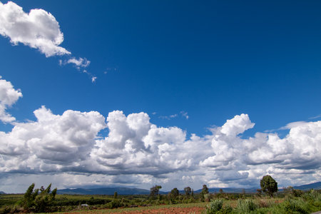 Landscape blue sky with white clouds during day befor raining over agriculture land nature background.の写真素材