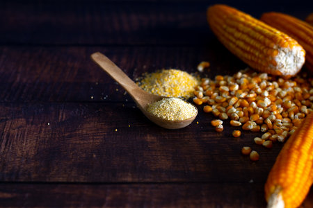 Processed into corn flour from Dried Corn on Wooden Background with Copy Space focus to corn powder...