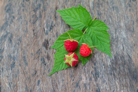 Rip raspberry on old wood background.