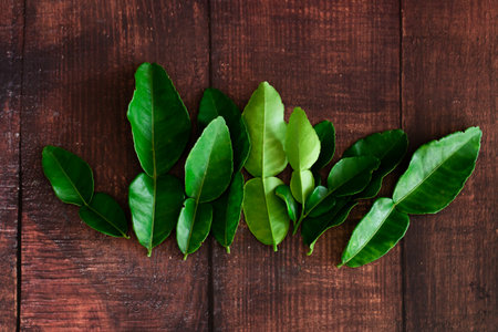 Fresh Green Kaffir Lime Leaves on wooden desk Background, ingradient for Asia's food with copy space.の写真素材