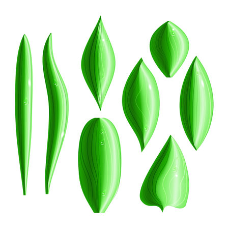 Set of 8 types of shiny green leaves with dew drops  のイラスト素材