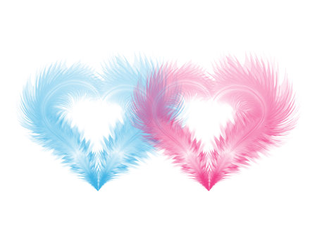 Two soft hearts shaped by blue and pink feathers. のイラスト素材