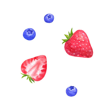 Strawberry and blueberry. Hand drawn watercolor illustration. Isolated on white background.の写真素材