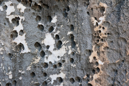 The rock at beachの写真素材