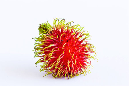 The rambutan asis fruitの写真素材