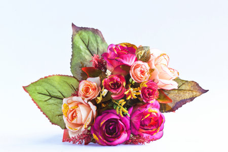 Flower for a nice day の写真素材