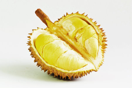 Durian fruit from Thailand 