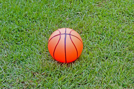 A basketball in garden park