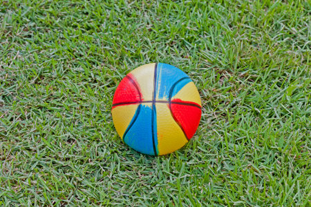 A basketball in garden parkの写真素材