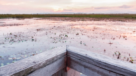 Lagoon park on twilight timeの写真素材