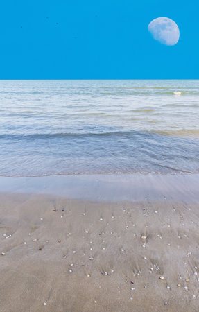 Moon beach on daylightの写真素材