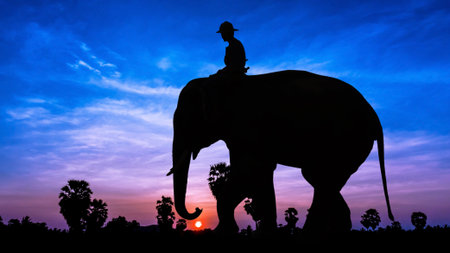 Man and elephant on twilight time in Thailand Asiaの写真素材