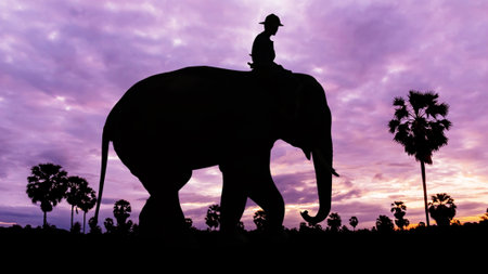 Man and elephant on twilight time in Thailand Asiaの写真素材