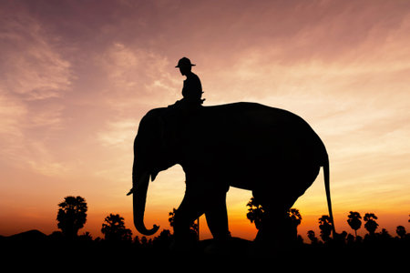 Man and elephant on twilight time in Thailand Asiaの写真素材