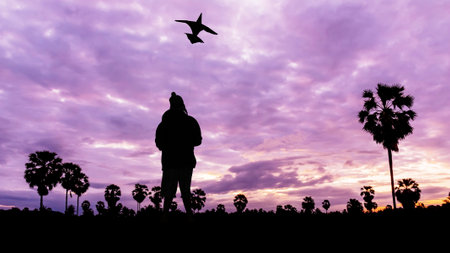 Boy play kite on twilight timeの写真素材