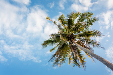 Cloudy with blue sky on daylight summer seasonの写真素材