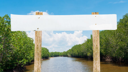 Wooden post at Mangrove forest on summer in Thailand Asiaの写真素材