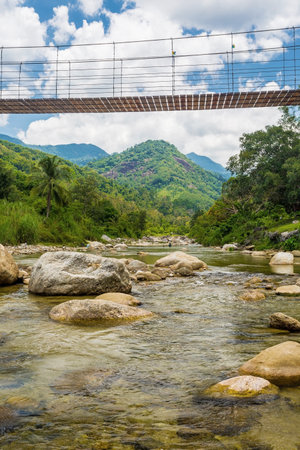 The mountains river and wooden bridge at Kiriwong village, Nakorn Sri Thammarat., weather is the best in Thailandの写真素材