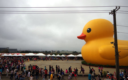 Landed Duckのeditorial素材