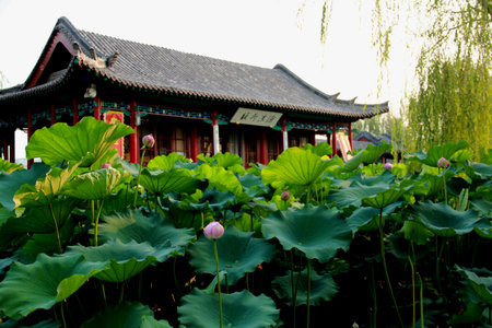 ancient building with lotusのeditorial素材