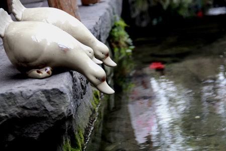 Close up of duck sculpturesの写真素材