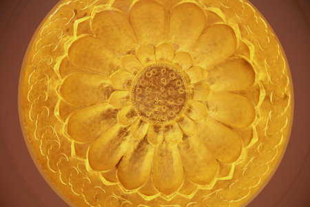 close up of golden lotusの写真素材