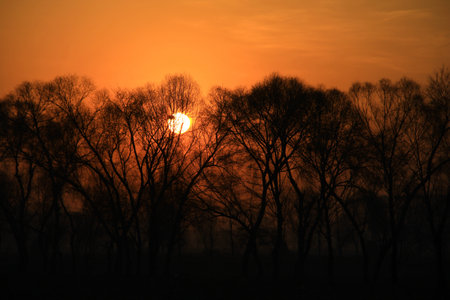 Sunriseの写真素材