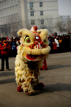 Shehuoのeditorial素材