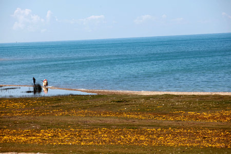 Qinghai Lakeの写真素材