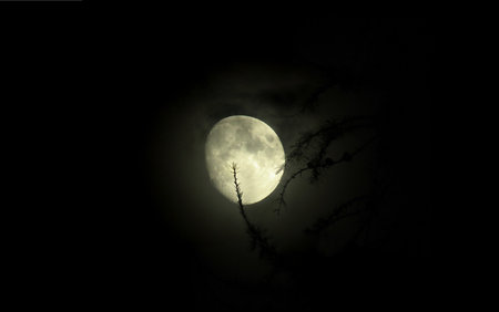 Full moon