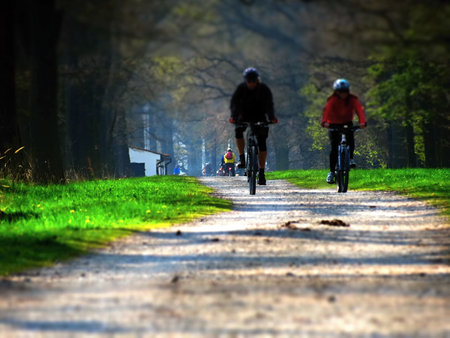 way around trees and in the distance blurred cyclistsの写真素材