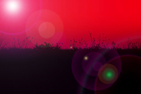 Silhouettes of grass landscape, digital illustration, red and purple background, sun flareの写真素材