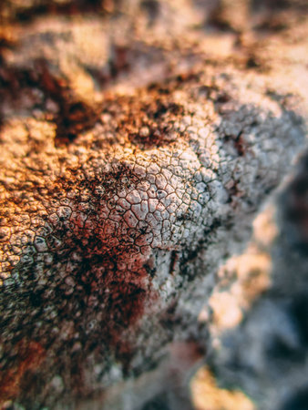 the detail of the rock on the mountainの写真素材