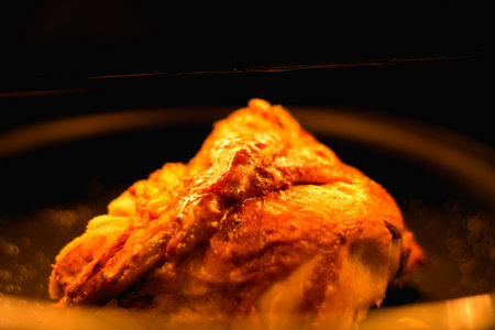 the closeup chicken grilling on electric heat grill, golden colorの写真素材