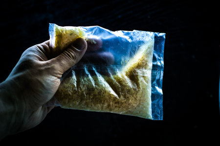 the Hand holding natural raw rice in plastic bagの写真素材