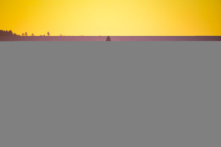 the city towers in the morning fogの写真素材