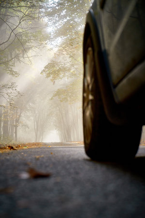 the car on forest road, detail on wheelの写真素材