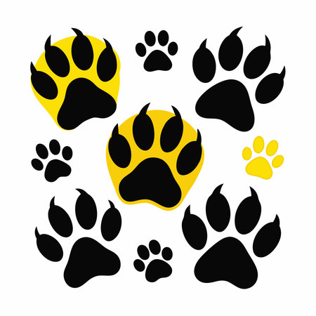 Wildlife footprint illustration,animal track black silhouette.のイラスト素材