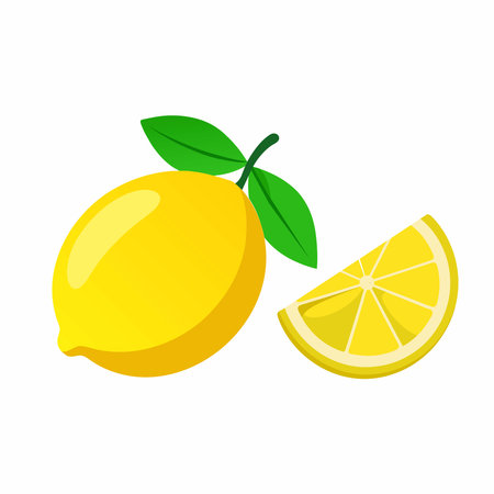 fresh lemon vector illustration.のイラスト素材