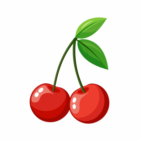 high resolution cherry vector artwork'のイラスト素材