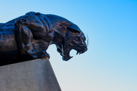 May 09,2020 Panther statue at the entrance of Bank of America Stadium, Carolina Panthers NFL won't have layoffs during the corona virus. Located in uptown Charlotte, North Carolina, USA.のeditorial素材