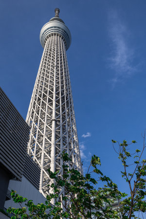 Sumida, Tokyo, Japan. May 06, 2023 :Tokyo Skytree soaring into the blue sky.