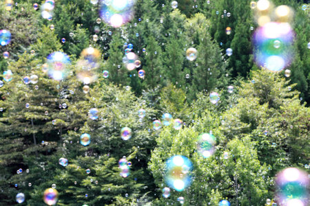 Soap bubbles floating