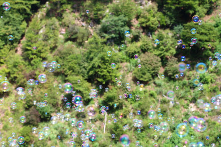Soap bubbles floating