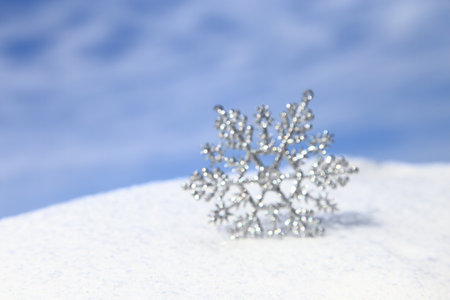 Sparkling snowflake on snowの写真素材